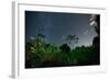 The Milky Way Above the Ubatuba Jungle at Night-Alex Saberi-Framed Photographic Print