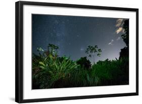 The Milky Way Above the Ubatuba Jungle at Night-Alex Saberi-Framed Photographic Print