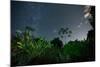 The Milky Way Above the Ubatuba Jungle at Night-Alex Saberi-Mounted Photographic Print