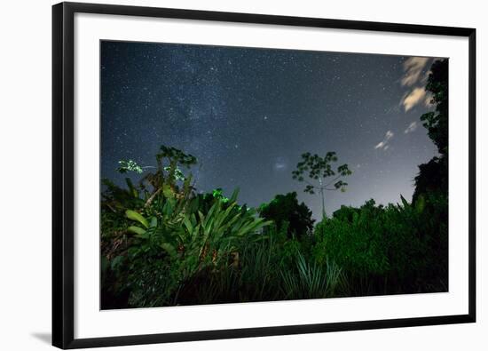 The Milky Way Above the Ubatuba Jungle at Night-Alex Saberi-Framed Photographic Print