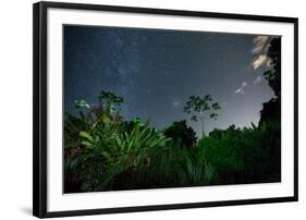 The Milky Way Above the Ubatuba Jungle at Night-Alex Saberi-Framed Photographic Print