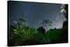 The Milky Way Above the Ubatuba Jungle at Night-Alex Saberi-Stretched Canvas