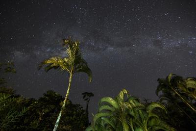 https://imgc.allpostersimages.com/img/posters/the-milky-way-above-tropical-trees-and-foliage-of-the-atlantic-rainforest-at-night_u-L-PYYES20.jpg?artPerspective=n