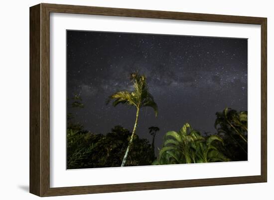 The Milky Way Above Tropical Trees and Foliage of the Atlantic Rainforest, at Night-Alex Saberi-Framed Photographic Print