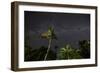 The Milky Way Above Tropical Trees and Foliage of the Atlantic Rainforest, at Night-Alex Saberi-Framed Photographic Print