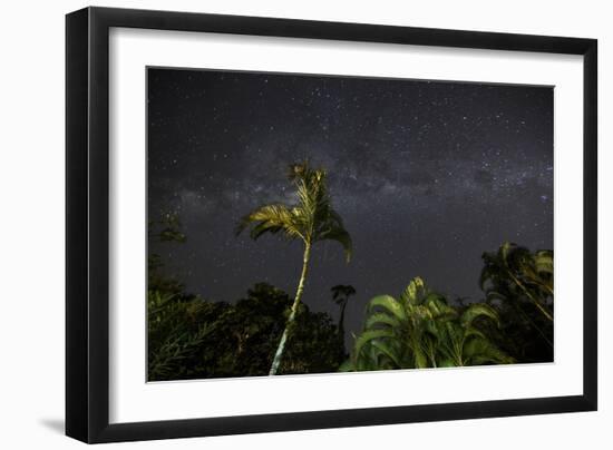 The Milky Way Above Tropical Trees and Foliage of the Atlantic Rainforest, at Night-Alex Saberi-Framed Photographic Print