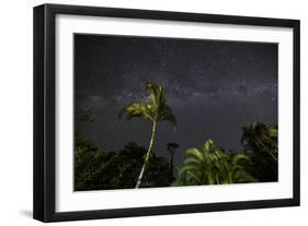 The Milky Way Above Tropical Trees and Foliage of the Atlantic Rainforest, at Night-Alex Saberi-Framed Photographic Print