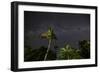 The Milky Way Above Tropical Trees and Foliage of the Atlantic Rainforest, at Night-Alex Saberi-Framed Photographic Print