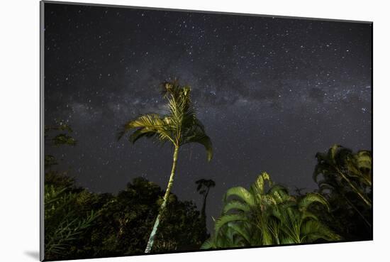 The Milky Way Above Tropical Trees and Foliage of the Atlantic Rainforest, at Night-Alex Saberi-Mounted Photographic Print