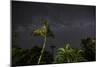 The Milky Way Above Tropical Trees and Foliage of the Atlantic Rainforest, at Night-Alex Saberi-Mounted Photographic Print