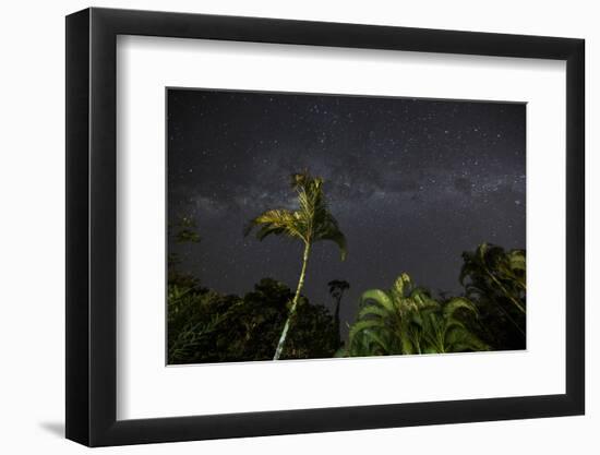 The Milky Way Above Tropical Trees and Foliage of the Atlantic Rainforest, at Night-Alex Saberi-Framed Premium Photographic Print