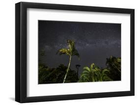 The Milky Way Above Tropical Trees and Foliage of the Atlantic Rainforest, at Night-Alex Saberi-Framed Premium Photographic Print