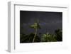 The Milky Way Above Tropical Trees and Foliage of the Atlantic Rainforest, at Night-Alex Saberi-Framed Premium Photographic Print