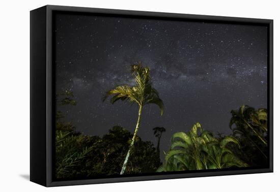 The Milky Way Above Tropical Trees and Foliage of the Atlantic Rainforest, at Night-Alex Saberi-Framed Stretched Canvas