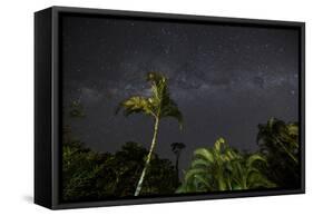 The Milky Way Above Tropical Trees and Foliage of the Atlantic Rainforest, at Night-Alex Saberi-Framed Stretched Canvas