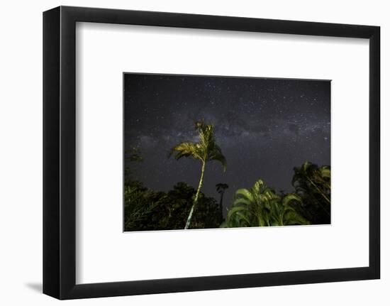 The Milky Way Above Tropical Trees and Foliage of the Atlantic Rainforest, at Night-Alex Saberi-Framed Photographic Print