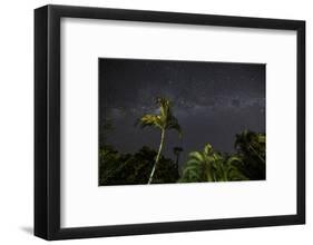 The Milky Way Above Tropical Trees and Foliage of the Atlantic Rainforest, at Night-Alex Saberi-Framed Photographic Print