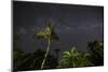 The Milky Way Above Tropical Trees and Foliage of the Atlantic Rainforest, at Night-Alex Saberi-Mounted Photographic Print