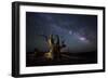 The Milky Way and a Dead Bristlecone Pine Tree in the White Mountains, California-null-Framed Photographic Print