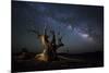 The Milky Way and a Dead Bristlecone Pine Tree in the White Mountains, California-null-Mounted Photographic Print