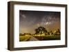 The Milky Way and the Tree Stand Alone and Road-a aizat-Framed Photographic Print