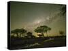 The milky way over acacia trees at night in the Okavango Delta, Botswana-Michael Nolan-Stretched Canvas