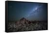 The Milky Way over the Boulders of the Namib-Naukluft National Park-Alex Saberi-Framed Stretched Canvas