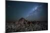 The Milky Way over the Boulders of the Namib-Naukluft National Park-Alex Saberi-Mounted Photographic Print