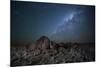 The Milky Way over the Boulders of the Namib-Naukluft National Park-Alex Saberi-Mounted Photographic Print