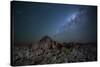 The Milky Way over the Boulders of the Namib-Naukluft National Park-Alex Saberi-Stretched Canvas