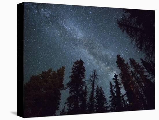 The Milky Way Shines Above the Forest in the San Juan Mountains of Southern Colorado.-Ryan Wright-Stretched Canvas