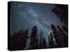 The Milky Way Shines Above the Forest in the San Juan Mountains of Southern Colorado.-Ryan Wright-Stretched Canvas