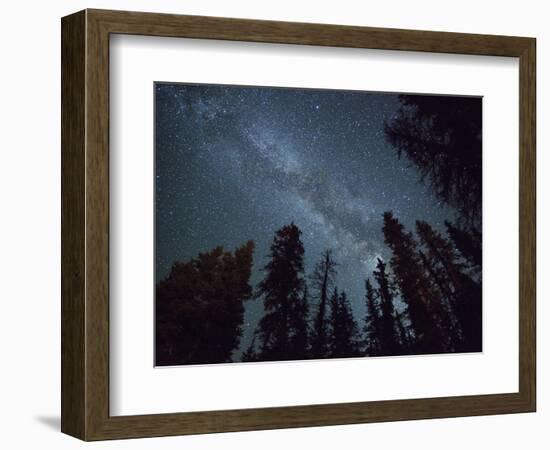 The Milky Way Shines Above the Forest in the San Juan Mountains of Southern Colorado.-Ryan Wright-Framed Photographic Print