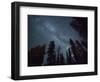 The Milky Way Shines Above the Forest in the San Juan Mountains of Southern Colorado.-Ryan Wright-Framed Photographic Print