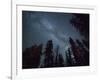 The Milky Way Shines Above the Forest in the San Juan Mountains of Southern Colorado.-Ryan Wright-Framed Photographic Print