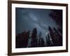 The Milky Way Shines Above the Forest in the San Juan Mountains of Southern Colorado.-Ryan Wright-Framed Photographic Print