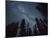 The Milky Way Shines Above the Forest in the San Juan Mountains of Southern Colorado.-Ryan Wright-Mounted Photographic Print
