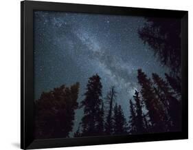 The Milky Way Shines Above the Forest in the San Juan Mountains of Southern Colorado.-Ryan Wright-Framed Photographic Print