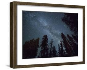 The Milky Way Shines Above the Forest in the San Juan Mountains of Southern Colorado.-Ryan Wright-Framed Photographic Print