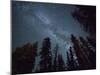 The Milky Way Shines Above the Forest in the San Juan Mountains of Southern Colorado.-Ryan Wright-Mounted Photographic Print