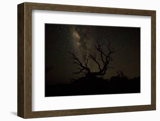 The Milky Way Silhouettes a Gnarly Tree on Mauna Kea Volcano in Hawaii-Erik Kruthoff-Framed Photographic Print