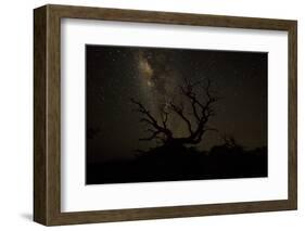 The Milky Way Silhouettes a Gnarly Tree on Mauna Kea Volcano in Hawaii-Erik Kruthoff-Framed Photographic Print