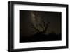 The Milky Way Silhouettes a Gnarly Tree on Mauna Kea Volcano in Hawaii-Erik Kruthoff-Framed Photographic Print