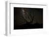 The Milky Way Silhouettes a Gnarly Tree on Mauna Kea Volcano in Hawaii-Erik Kruthoff-Framed Photographic Print