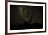 The Milky Way Silhouettes a Gnarly Tree on Mauna Kea Volcano in Hawaii-Erik Kruthoff-Framed Photographic Print