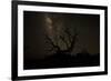 The Milky Way Silhouettes a Gnarly Tree on Mauna Kea Volcano in Hawaii-Erik Kruthoff-Framed Photographic Print