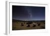 The Milky Way Spans the Night Sky Above an Inca Sacrificial Area Near the Santuario on Isla Del Sol-Alex Saberi-Framed Premium Photographic Print