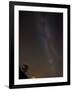 The Milky Way Viewed in the Night Sky over a Lone Silhouetted Tree, United Kingdom, Europe-Ian Egner-Framed Photographic Print