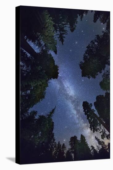 The Milkyway above Sequioa National Park-Jon Hicks-Stretched Canvas