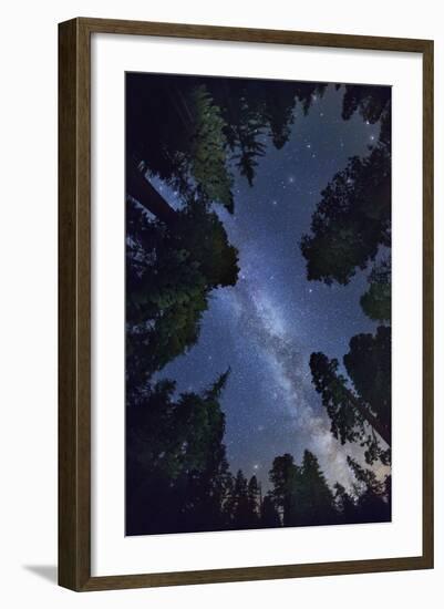 The Milkyway above Sequioa National Park-Jon Hicks-Framed Photographic Print